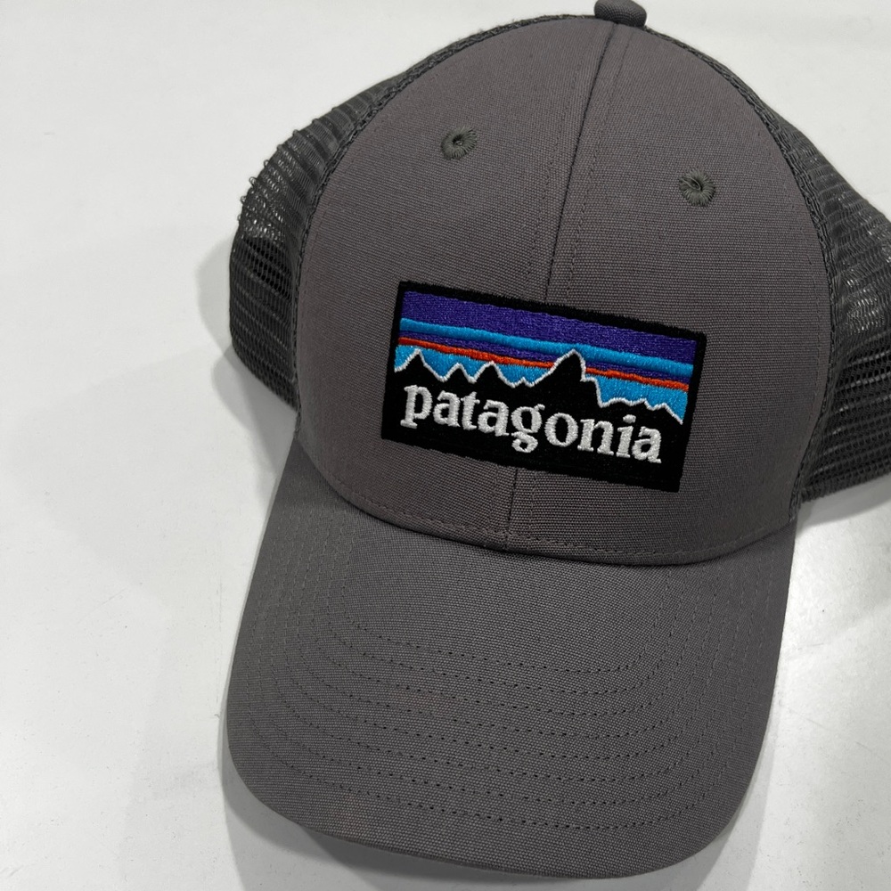 Patagonia Gray Cap with Multicolor Mountain Patch, NWOT